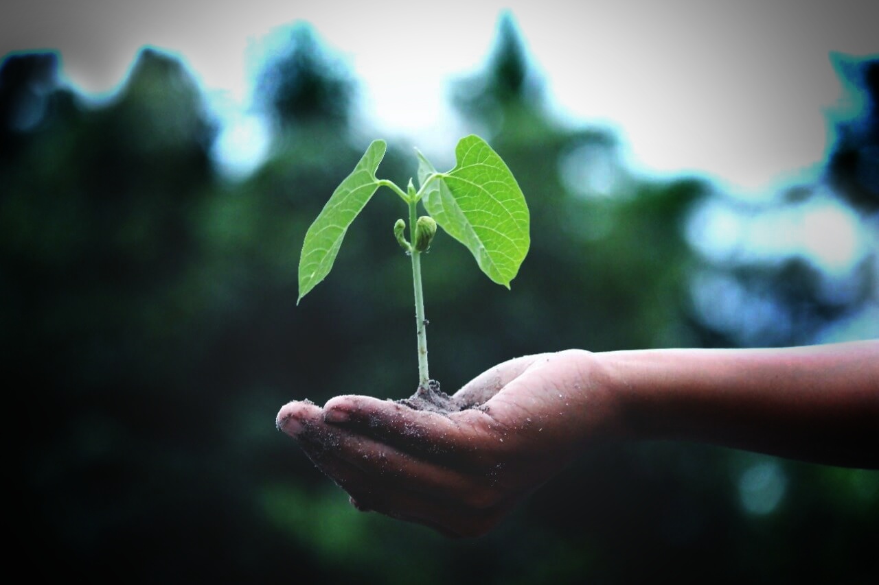 Sustainability & CSR Activities